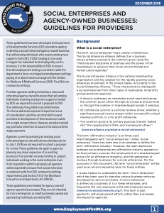 Social Enterprises and Agency-Owned Businesses: Guidelines for Providers